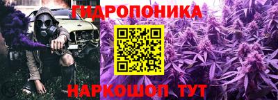 хмурый Канаш