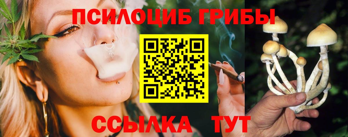 Галлюциногенные грибы Psilocybe Лангепас
